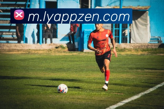 乐鱼APP品牌故事