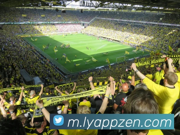 乐鱼APP服务体系