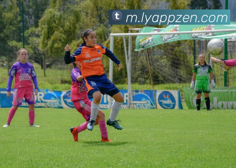 乐鱼APPAPP 体育赛事宣传图